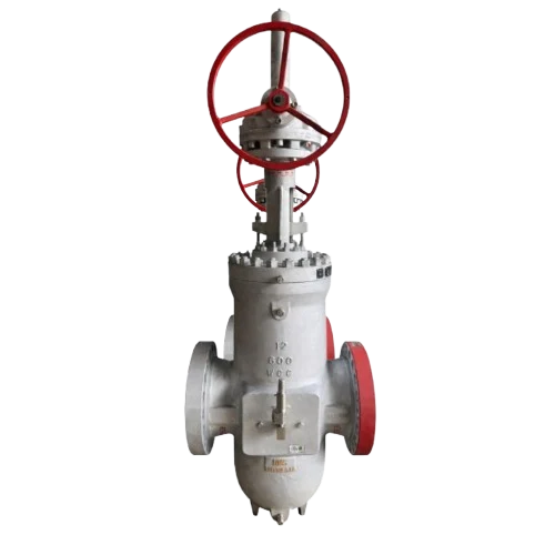 NMS 12-inch gate valve product photograph