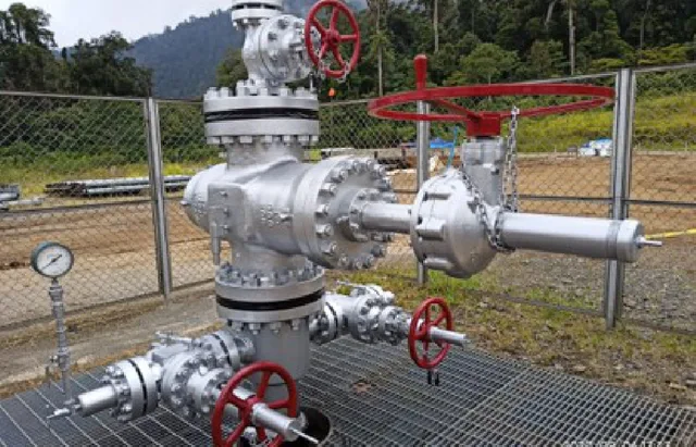 Wellhead & Valves Maintenance and Painting — NMS equipment and services